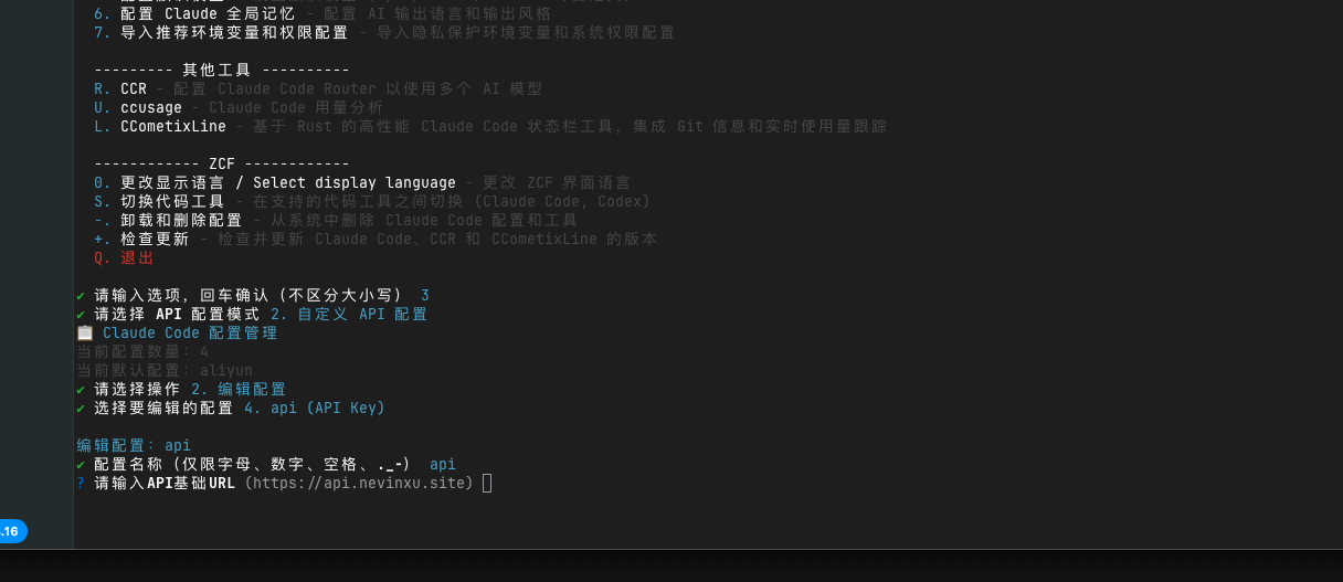 步骤4：输入 API Key
